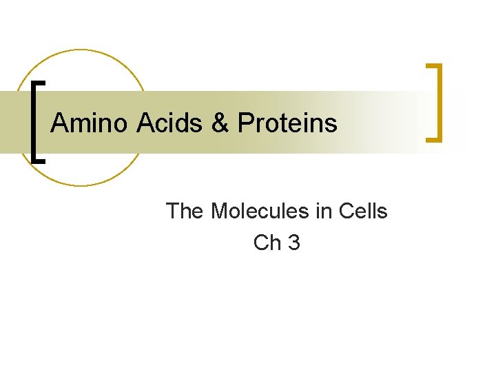 Amino Acids & Proteins The Molecules in Cells Ch 3 