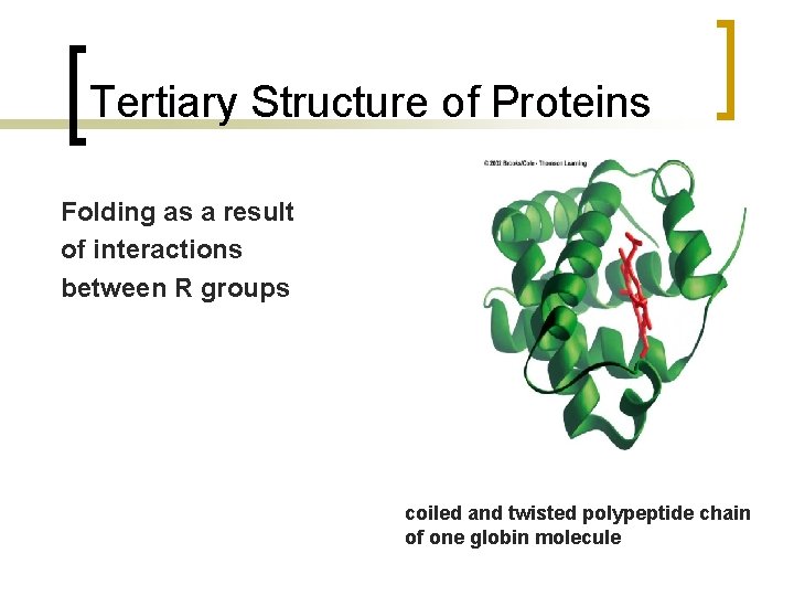 Tertiary Structure of Proteins Folding as a result of interactions between R groups coiled