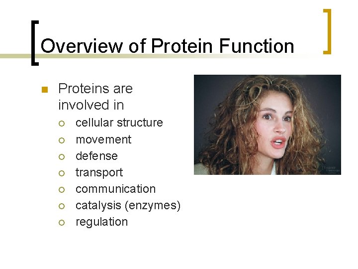 Overview of Protein Function n Proteins are involved in ¡ ¡ ¡ ¡ cellular