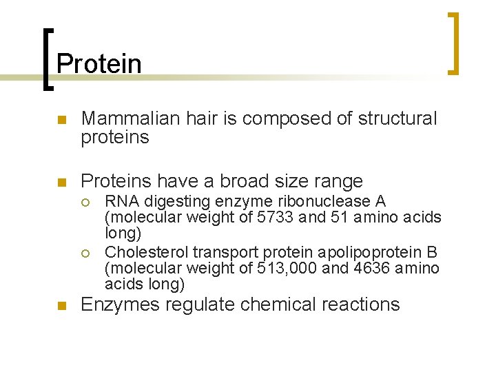 Protein n Mammalian hair is composed of structural proteins n Proteins have a broad