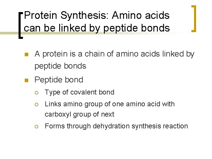 Protein Synthesis: Amino acids can be linked by peptide bonds n A protein is