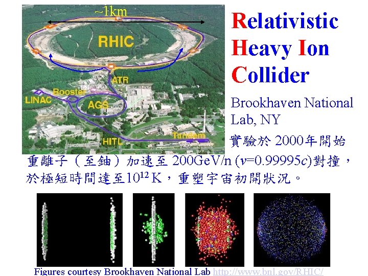 ~1 km Relativistic Heavy Ion Collider Brookhaven National Lab, NY 實驗於 2000年開始 重離子（至鈾）加速至 200