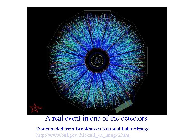 A real event in one of the detectors Downloaded from Brookhaven National Lab webpage