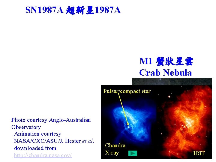 SN 1987 A 超新星 1987 A M 1 蟹狀星雲 Crab Nebula Pulsar/compact star Photo