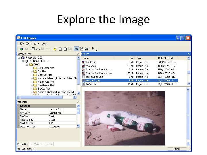 Explore the Image 
