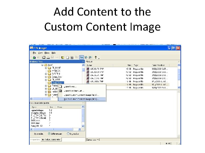 Add Content to the Custom Content Image 