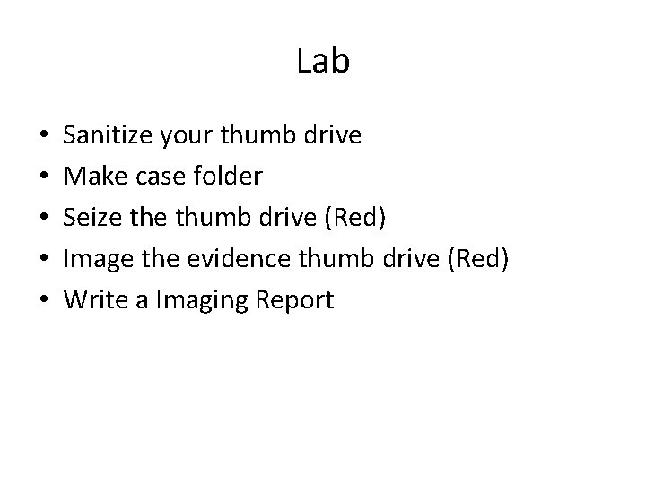 Lab • • • Sanitize your thumb drive Make case folder Seize thumb drive