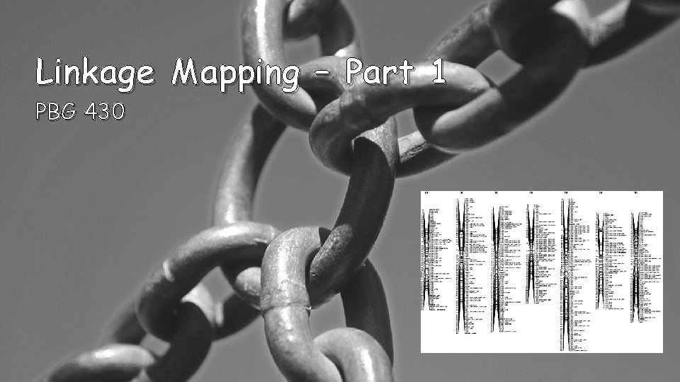 Linkage Mapping – Part 1 PBG 430 