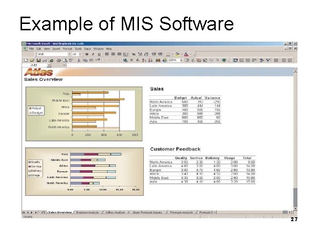 Example of MIS Software 27 