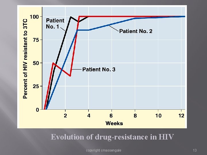 Evidence for Evolution – Evolution Observed Evolution of drug-resistance in HIV copyright cmassengale 13 Evidence for Evolution – Evolution Observed Evolution of drug-resistance in HIV copyright cmassengale 13