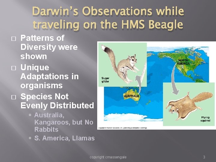 Darwin’s Observations while traveling on the HMS Beagle � � � Patterns of Diversity Darwin’s Observations while traveling on the HMS Beagle � � � Patterns of Diversity
