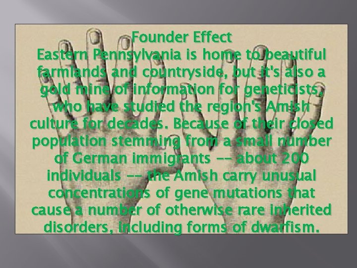 Founder Effect Eastern Pennsylvania is home to beautiful farmlands and countryside, but it's also Founder Effect Eastern Pennsylvania is home to beautiful farmlands and countryside, but it's also