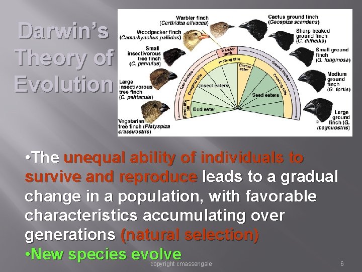 Darwin’s Theory of Evolution • The unequal ability of individuals to survive and reproduce Darwin’s Theory of Evolution • The unequal ability of individuals to survive and reproduce
