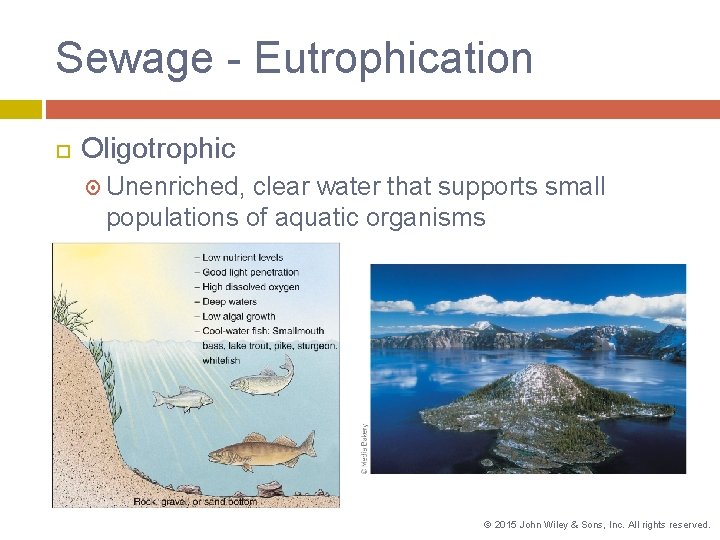 Sewage - Eutrophication Oligotrophic Unenriched, clear water that supports small populations of aquatic organisms Sewage - Eutrophication Oligotrophic Unenriched, clear water that supports small populations of aquatic organisms