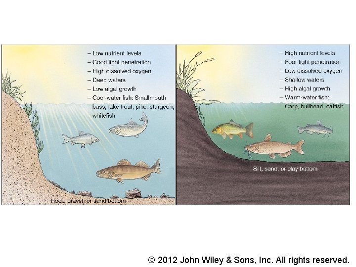 © 2012 John Wiley & Sons, Inc. All rights reserved. © 2012 John Wiley & Sons, Inc. All rights reserved.