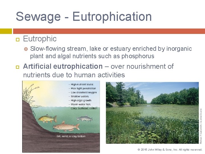 Sewage - Eutrophication Eutrophic Slow-flowing stream, lake or estuary enriched by inorganic plant and