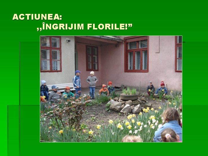 ACTIUNEA: , , ÎNGRIJIM FLORILE!” 