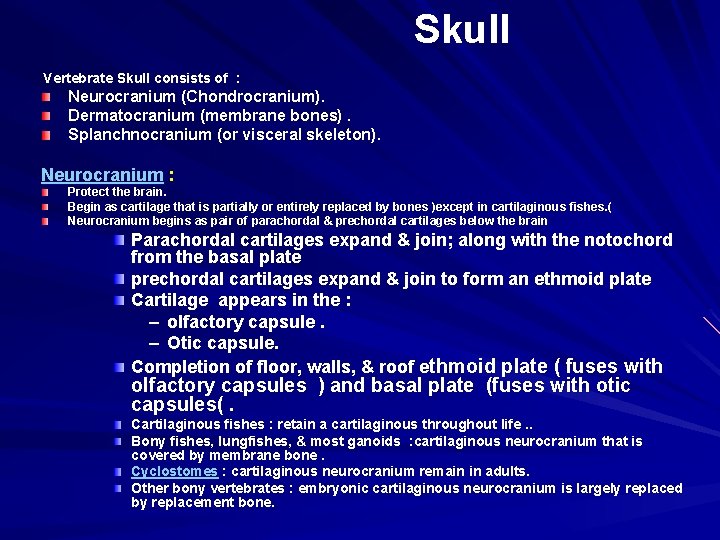 Skull Vertebrate Skull consists of : Neurocranium (Chondrocranium). Dermatocranium (membrane bones). Splanchnocranium (or visceral