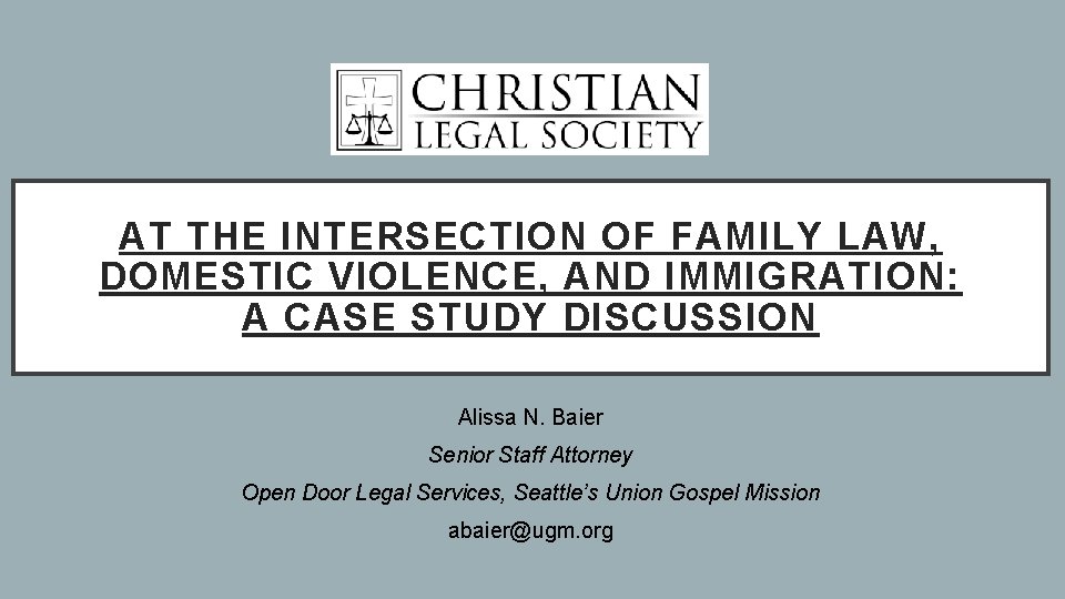 AT THE INTERSECTION OF FAMILY LAW, DOMESTIC VIOLENCE, AND IMMIGRATION: A CASE STUDY DISCUSSION
