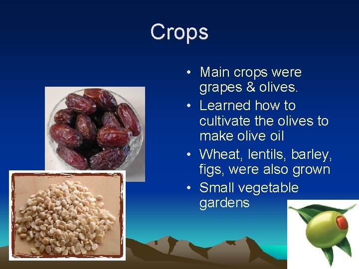 Crops • Main crops were grapes & olives. • Learned how to cultivate the