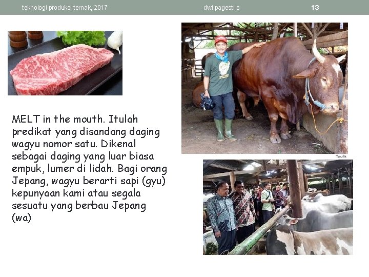 teknologi produksi ternak, 2017 MELT in the mouth. Itulah predikat yang disandang daging wagyu