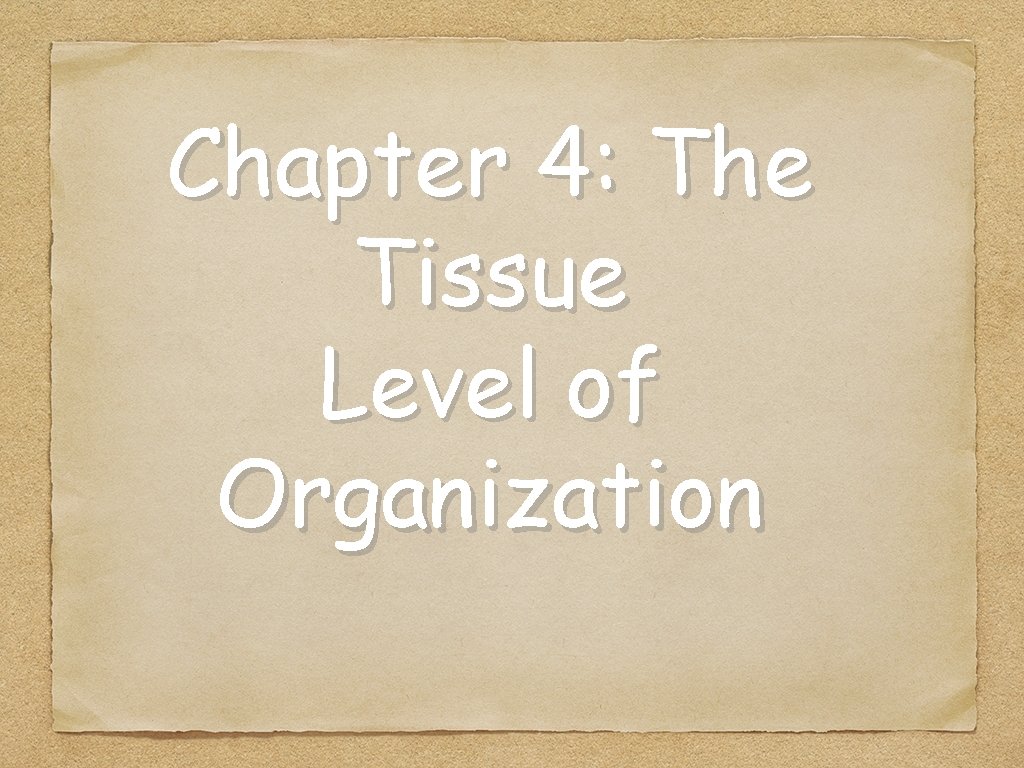 Chapter 4: The Tissue Level of Organization 