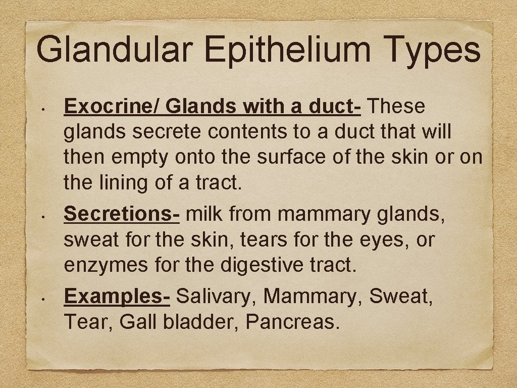 Glandular Epithelium Types • • • Exocrine/ Glands with a duct- These glands secrete