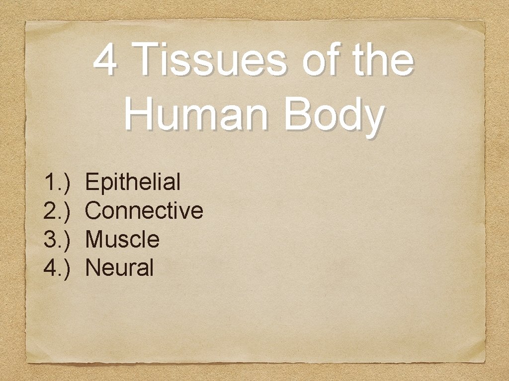 4 Tissues of the Human Body 1. ) 2. ) 3. ) 4. )