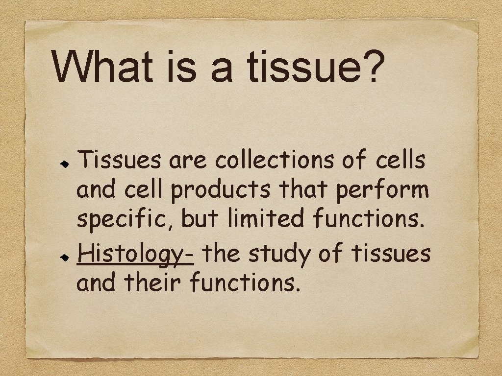 What is a tissue? Tissues are collections of cells and cell products that perform