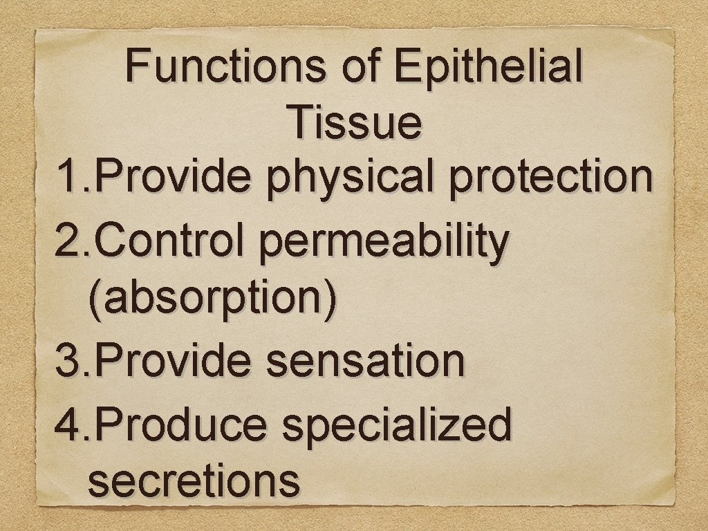 Functions of Epithelial Tissue 1. Provide physical protection 2. Control permeability (absorption) 3. Provide