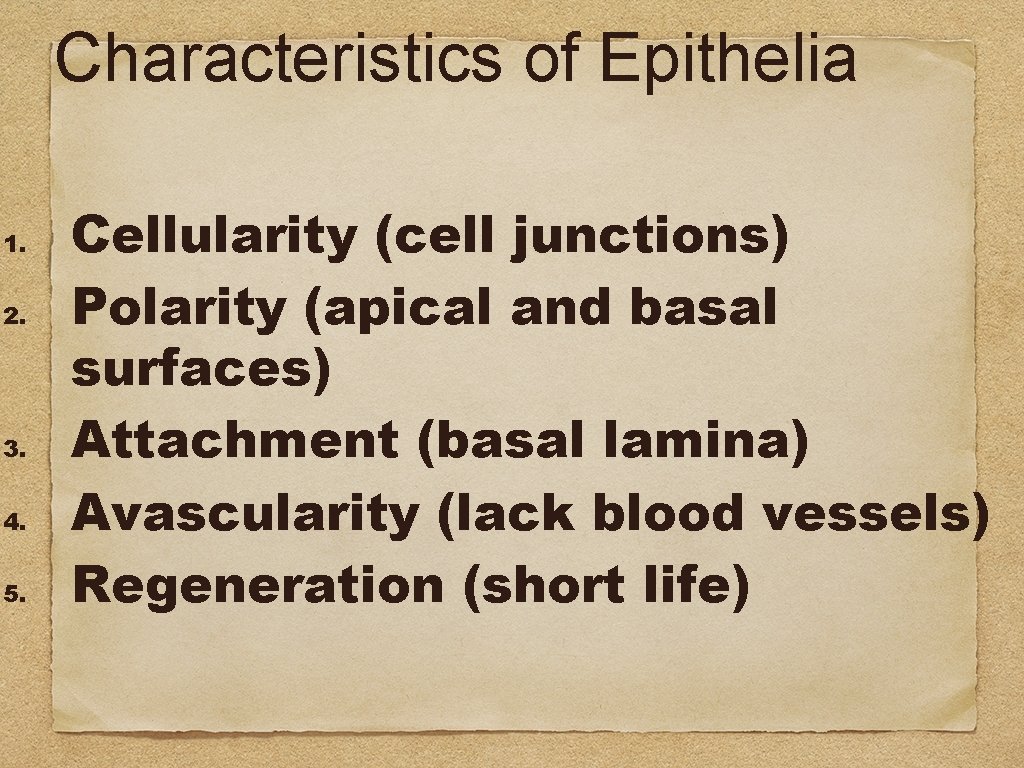 Characteristics of Epithelia 1. 2. 3. 4. 5. Cellularity (cell junctions) Polarity (apical and