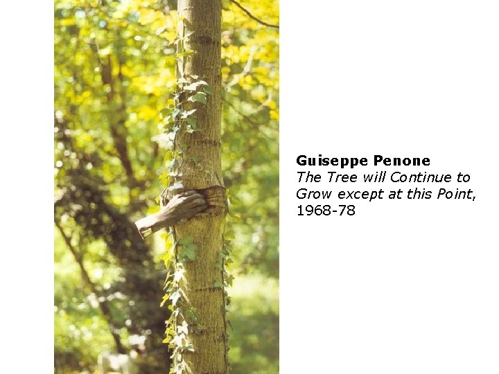 Guiseppe Penone The Tree will Continue to Grow except at this Point, 1968 -78