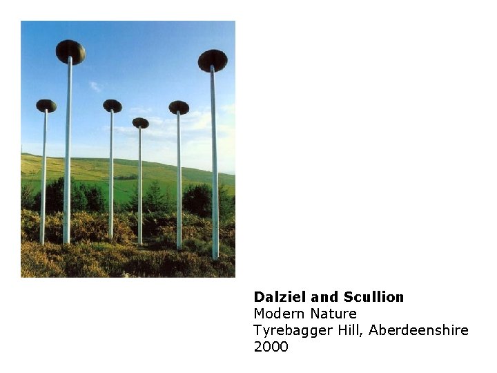 Dalziel and Scullion Modern Nature Tyrebagger Hill, Aberdeenshire 2000 