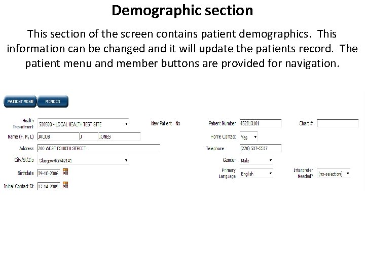 Demographic section This section of the screen contains patient demographics. This information can be