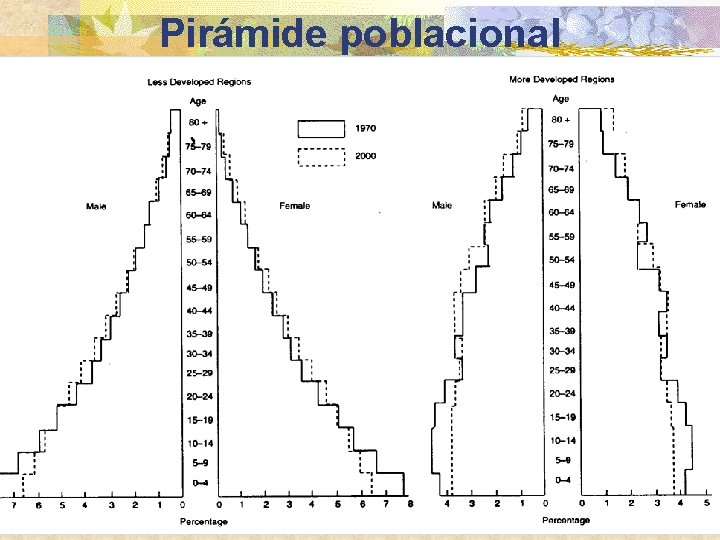 Pirámide poblacional Epidemiology (Schneider) 