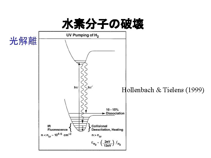 水素分子の破壊 光解離 Hollenbach & Tielens (1999) 