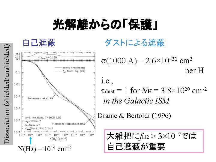 Dissociation (shielded/unshielded) 光解離からの「保護」 自己遮蔽 ダストによる遮蔽 s(1000 A) = 2. 6× 10– 21 cm 2