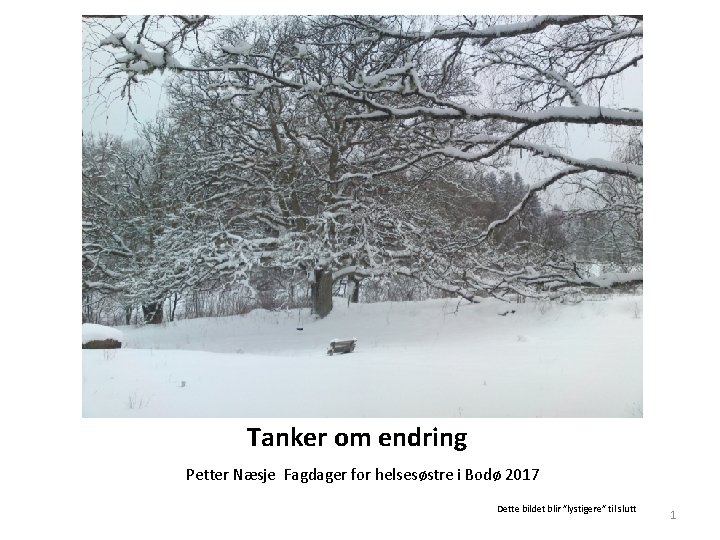 Tanker om endring Petter Næsje Fagdager for helsesøstre i Bodø 2017 Dette bildet blir