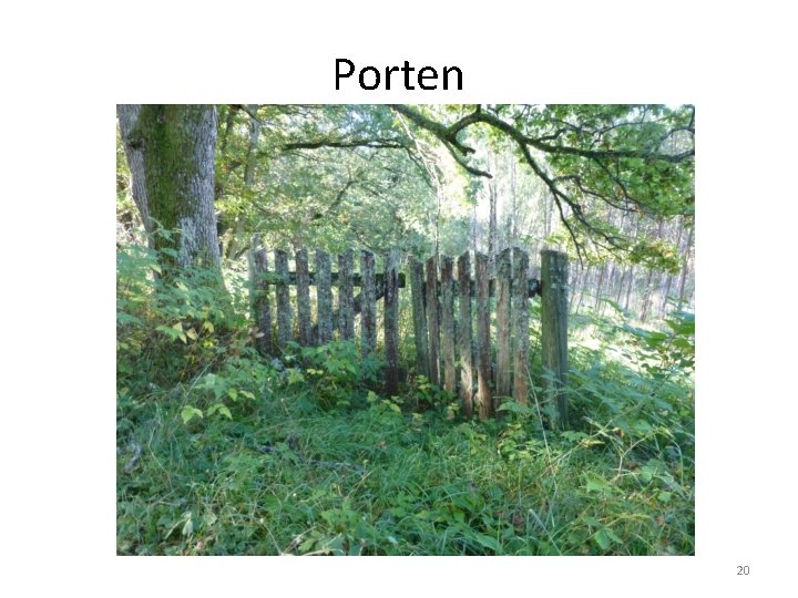 Porten 20 