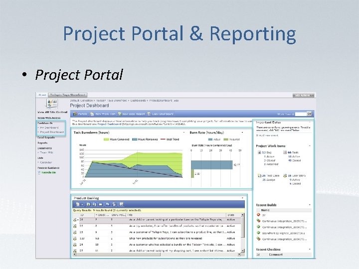 Project Portal & Reporting • Project Portal 