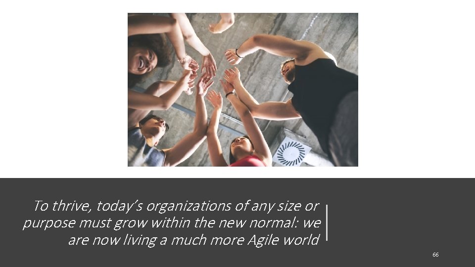 To thrive, today’s organizations of any size or purpose must grow within the new