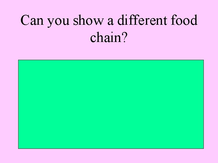 Can you show a different food chain? 