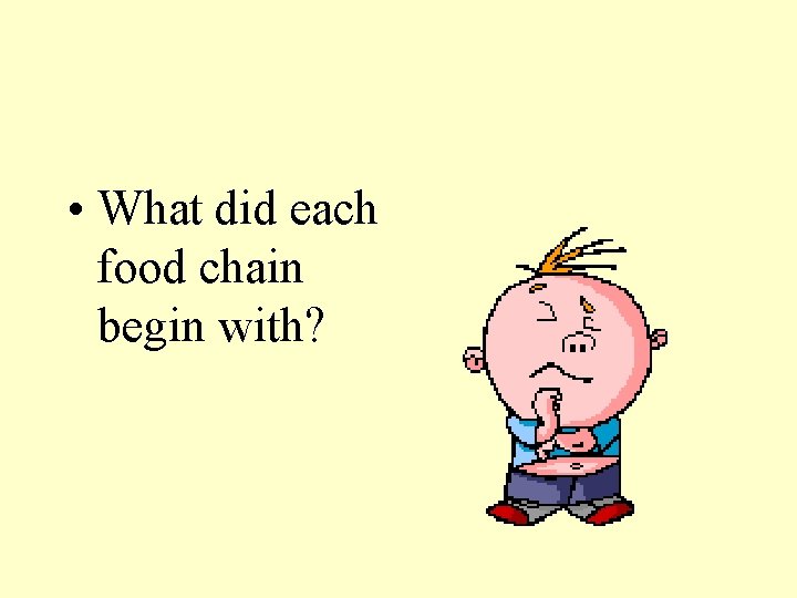  • What did each food chain begin with? 