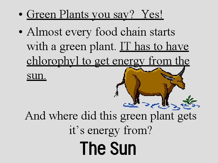  • Green Plants you say? Yes! • Almost every food chain starts with