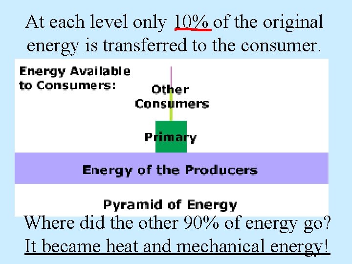 At each level only 10% of the original energy is transferred to the consumer.