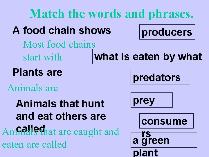 Match the words and phrases. A food chain shows producers Most food chains what