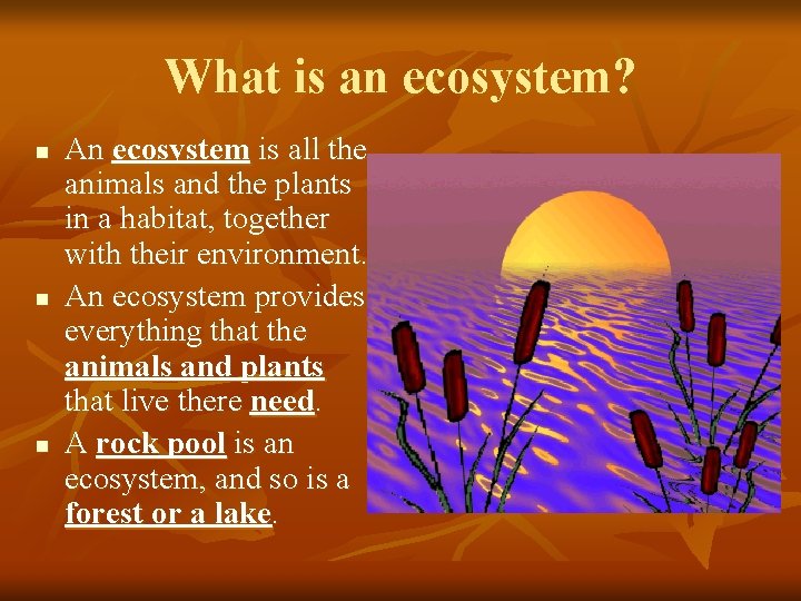 What is an ecosystem? n n n An ecosystem is all the animals and