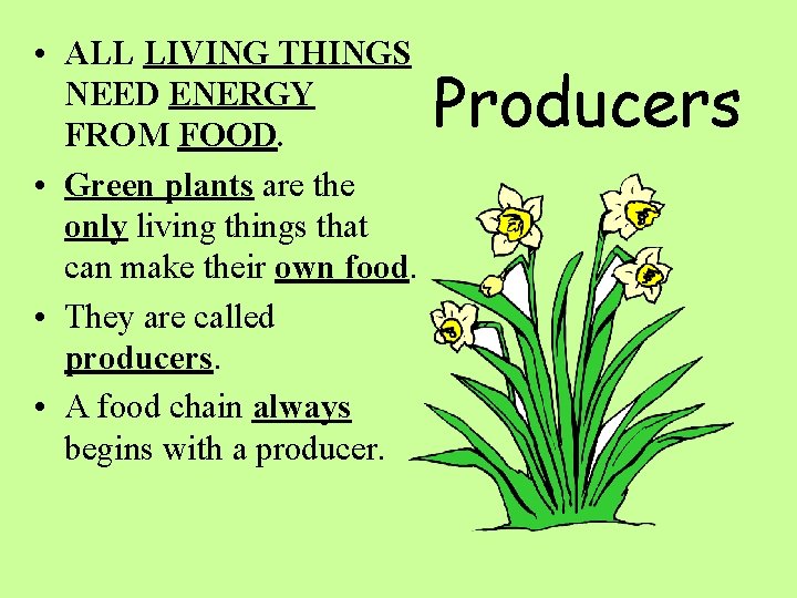  • ALL LIVING THINGS NEED ENERGY FROM FOOD. • Green plants are the