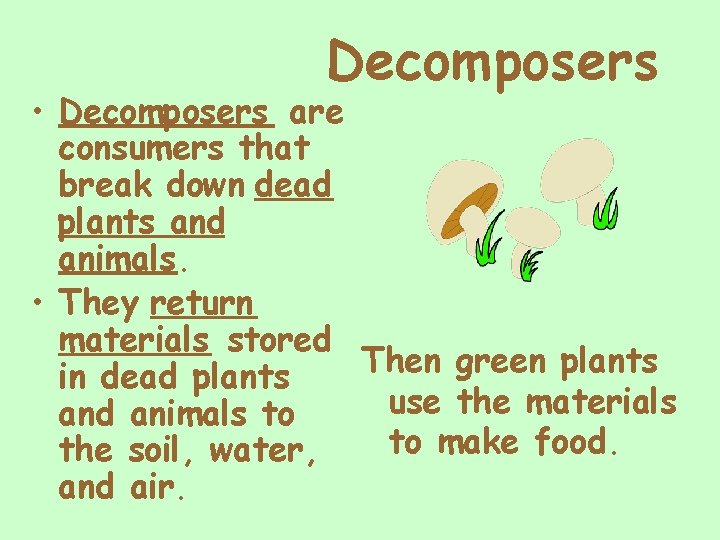 Decomposers • Decomposers are consumers that break down dead plants and animals. • They