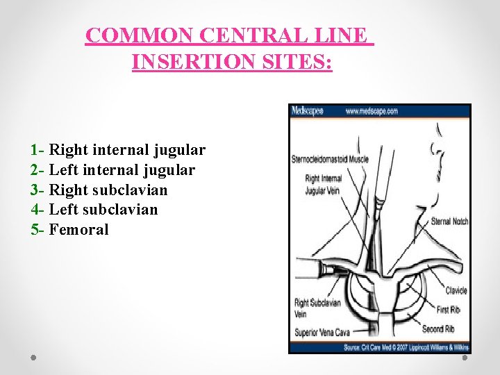 COMMON CENTRAL LINE INSERTION SITES: 1 - Right internal jugular 2 - Left internal